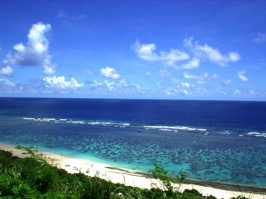 🏖️ 요시노 해안(요시노카이간) 이미지 1